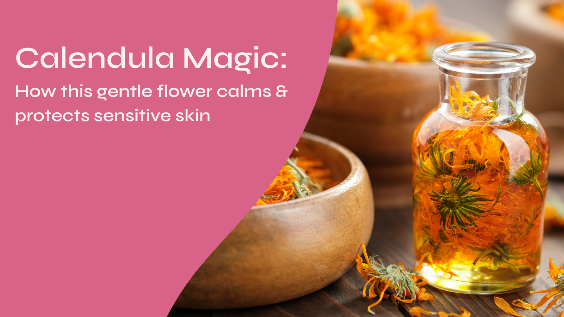 Calendula Magic: How This Gentle Flower Calms and Protects Sensitive Skin