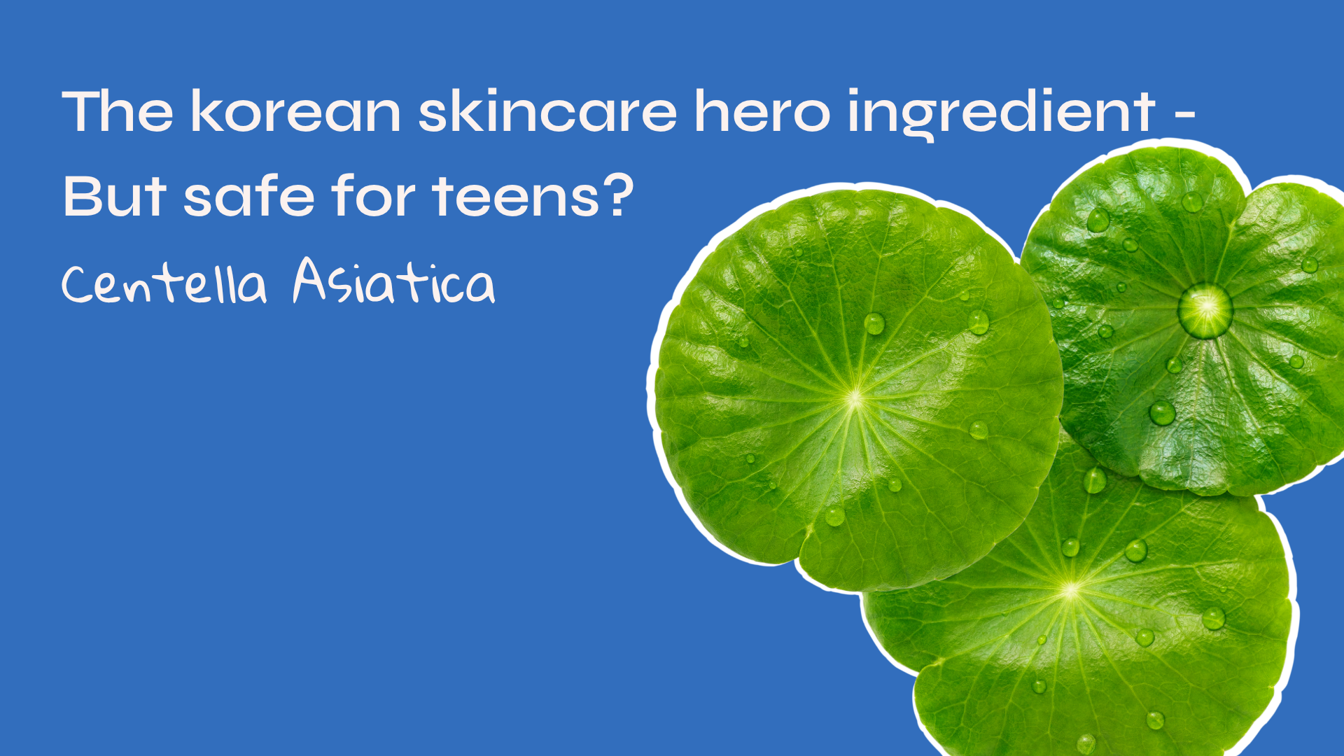 K-Beauty’s Calm-Down Ingredient: What Centella Asiatica Does for Teen Skin