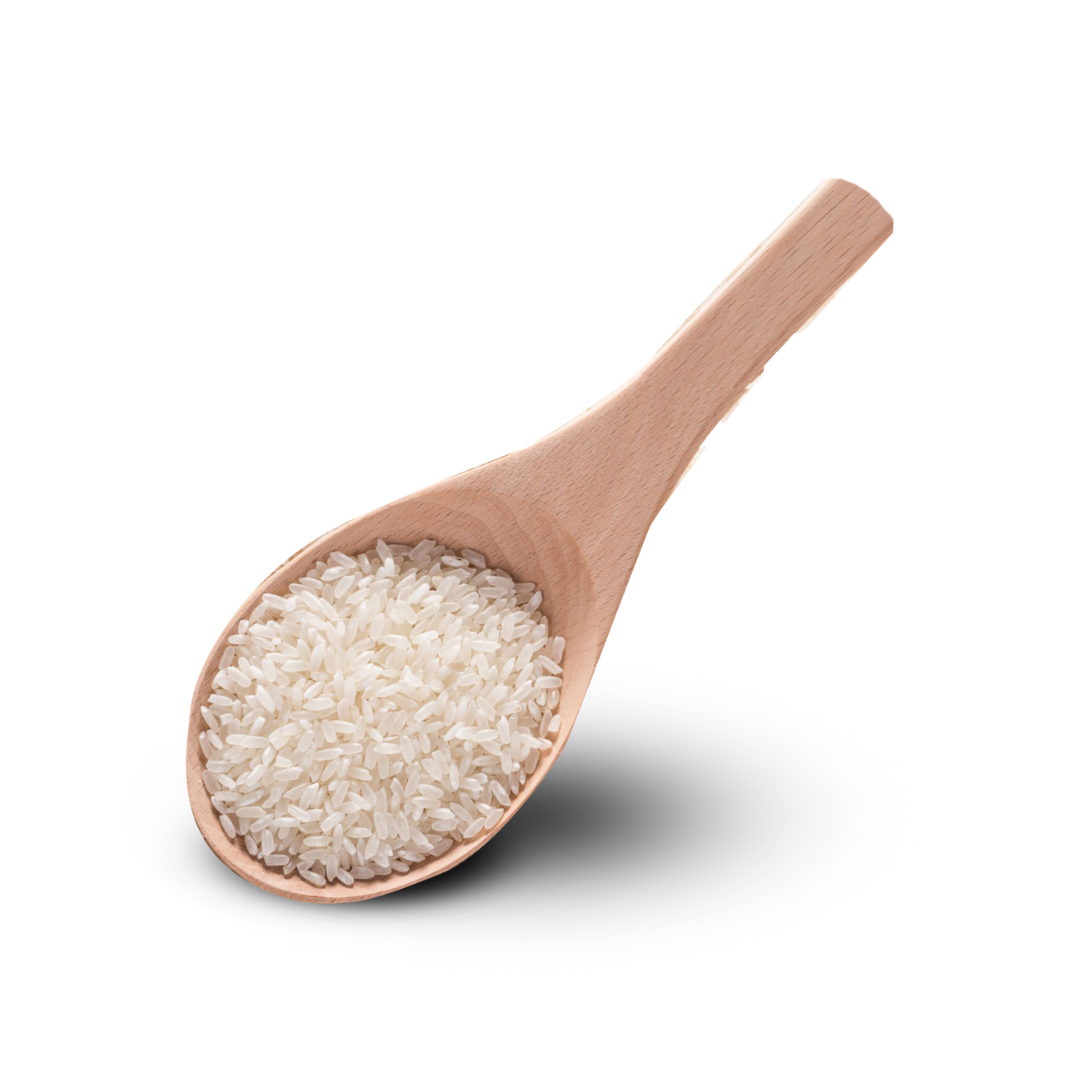 Rice Protein