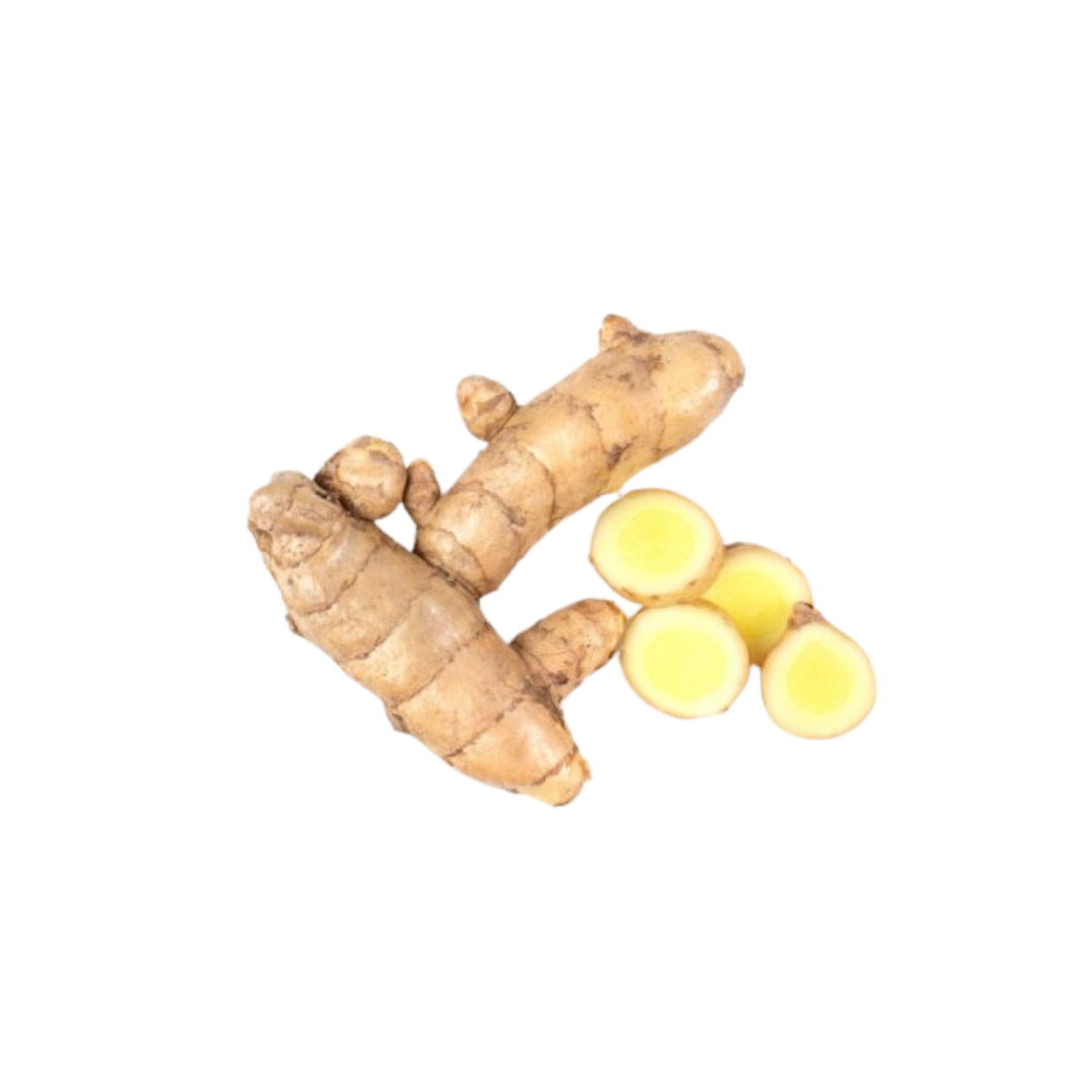 White Turmeric